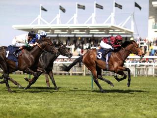 Tony has picked out three horses for 1000 Guineas day at Newmarket